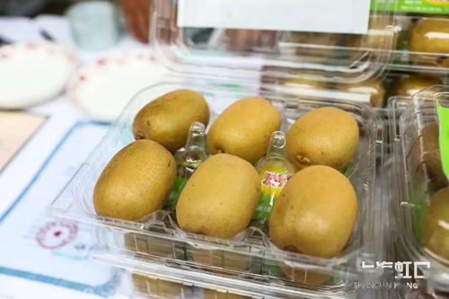 助力脫貧攻堅，品味地道風物——魯迅公園特色農產品直銷活動正式啟動