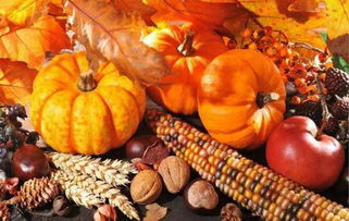 豐收節(jié)里尋“金”記 初級農(nóng)產(chǎn)品的產(chǎn)業(yè)化新機(jī)遇