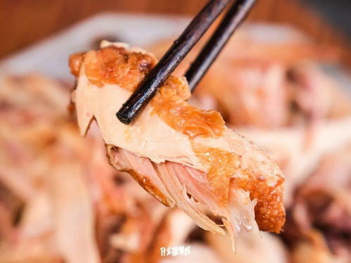 美食圈的隱藏BOSS 農(nóng)業(yè)大學(xué)實(shí)驗(yàn)室與初級農(nóng)產(chǎn)品的奇妙碰撞