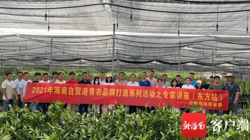 初探農產品 從田間地頭到餐桌的綠色之源